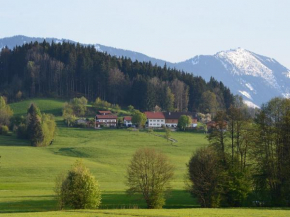 Braunhof